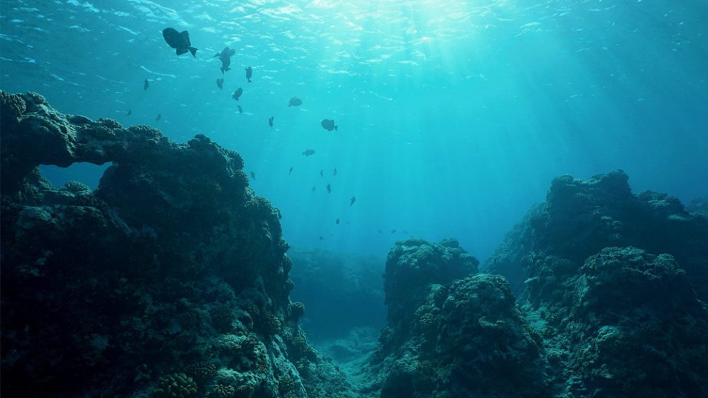 The microbes were found at the seabed of the pacific ocean.