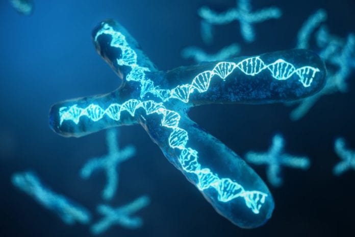 Complete Human X Chromosome Sequence Achieved By Scientists