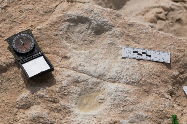 Human Footprints Thought to be 120,000 Years Old Found in a New Discovery