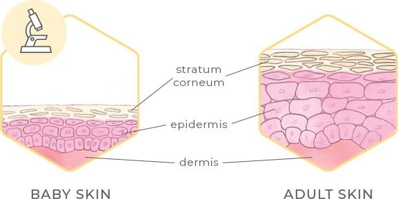Adult skin vs Baby Skin

